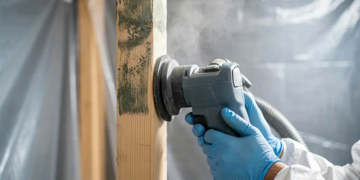Mold Removal in Reno, NV